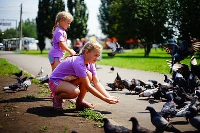 10 Rekomendasi Makanan Burung Parkit agar Burung Fit