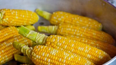 Mimpi Panen Jagung Pertanda Baik? Atau Bahkan Pertanda Buruk