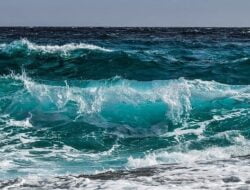 Arti Mimpi Melihat Air Laut Menurut Islam dan Primbon