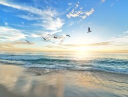 Arti Mimpi Pergi Ke Pantai Dan Pertanda Dalam Kehidupan!
