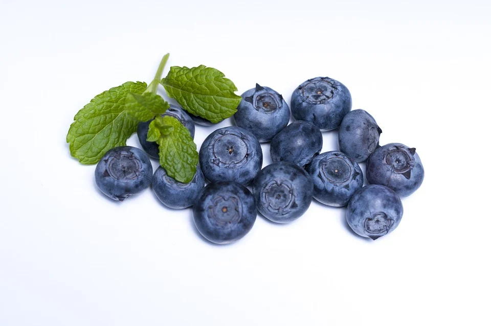 12 Arti Mimpi Buah Blueberry Lengkap Menurut Primbon Jawa