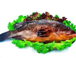 4 Arti Mimpi Makan Ikan Besar Menurut Primbon Jawa