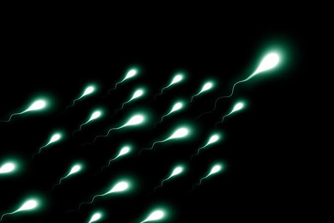 Arti Mimpi Melihat Sperma Sendiri Di Tangan, Lantai, Wajah Dan Sperma Binatang