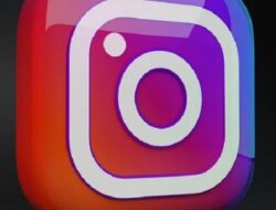 2 Cara Download Video Pendek Instagram Via Situs Downloadgram Dan W3Toys