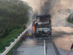 Bus Pahala Kencana Terbakar Di Tol Jombang, 34 Penumpang Selamat Tanpa Korban